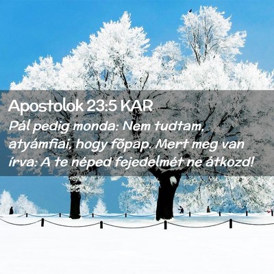 Picture 02 - Apostolok 23:5 KAR - Pál pedig monda: Nem tudtam, atyámfiai, hogy - Bible Verse Picture