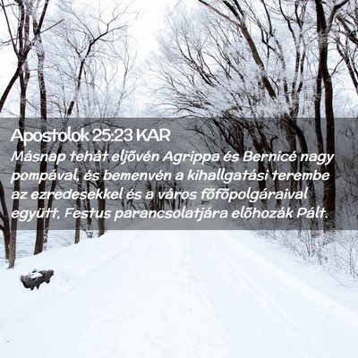 Picture 02 - Apostolok 25:23 KAR - Másnap tehát eljõvén Agrippa és Bernicé - Bible Verse Picture