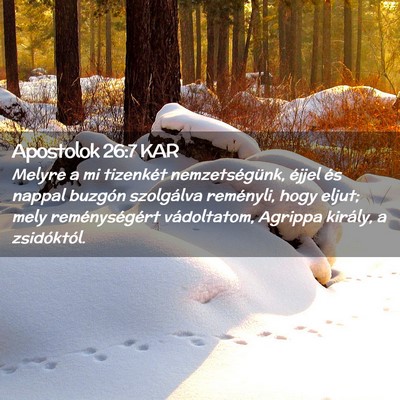 Picture 02 - Apostolok 26:7 KAR - Melyre a mi tizenkét nemzetségünk, éjjel és - Bible Verse Picture