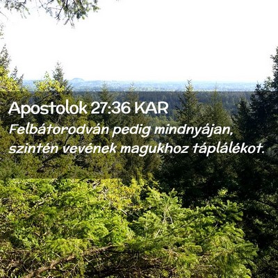 Picture 02 - Apostolok 27:36 KAR - Felbátorodván pedig mindnyájan, szintén - Bible Verse Picture