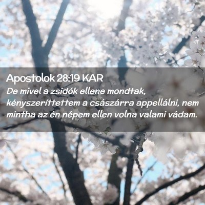 Picture 02 - Apostolok 28:19 KAR - De mivel a zsidók ellene mondtak, - Bible Verse Picture