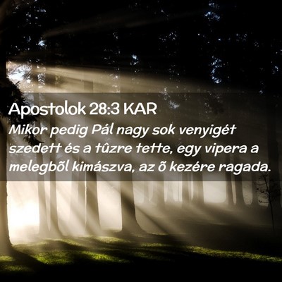 Picture 02 - Apostolok 28:3 KAR - Mikor pedig Pál nagy sok venyigét szedett és a - Bible Verse Picture