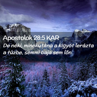 Picture 02 - Apostolok 28:5 KAR - De néki, minekutána a kígyót lerázta a - Bible Verse Picture