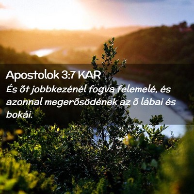 Picture 02 - Apostolok 3:7 KAR - És õt jobbkezénél fogva felemelé, és - Bible Verse Picture
