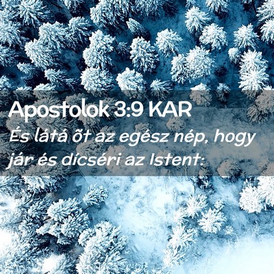 Picture 02 - Apostolok 3:9 KAR - És látá õt az egész nép, hogy jár és - Bible Verse Picture