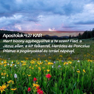 Picture 02 - Apostolok 4:27 KAR - Mert bizony egybegyûltek a te szent Fiad, a - Bible Verse Picture