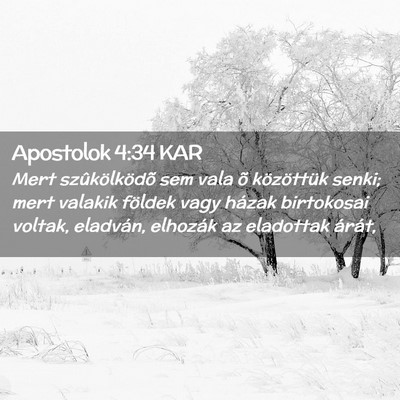 Picture 02 - Apostolok 4:34 KAR - Mert szûkölködõ sem vala õ közöttük - Bible Verse Picture
