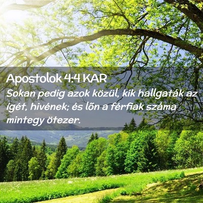 Picture 02 - Apostolok 4:4 KAR - Sokan pedig azok közül, kik hallgaták az - Bible Verse Picture
