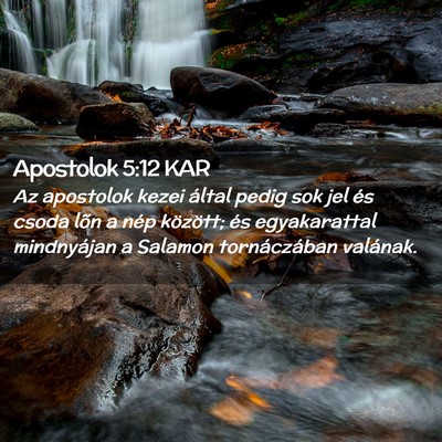 Picture 02 - Apostolok 5:12 KAR - Az apostolok kezei által pedig sok jel és csoda - Bible Verse Picture