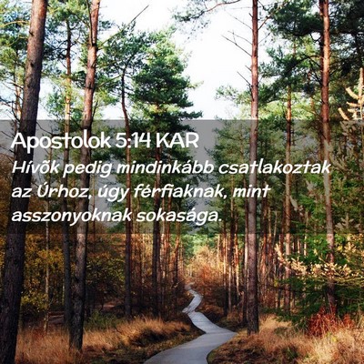 Picture 02 - Apostolok 5:14 KAR - Hívõk pedig mindinkább csatlakoztak az Úrhoz, - Bible Verse Picture