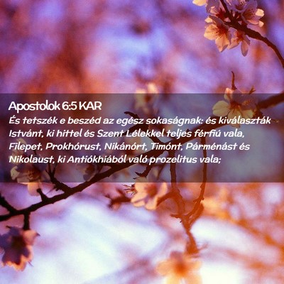 Picture 02 - Apostolok 6:5 KAR - És tetszék e beszéd az egész sokaságnak: és - Bible Verse Picture