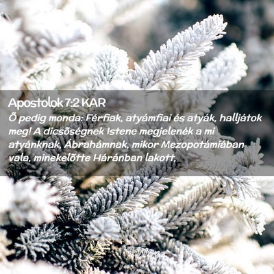 Picture 02 - Apostolok 7:2 KAR - Õ pedig monda: Férfiak, atyámfiai és atyák, - Bible Verse Picture