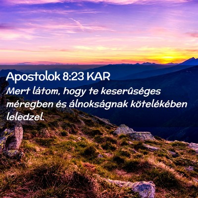 Picture 02 - Apostolok 8:23 KAR - Mert látom, hogy te keserûséges méregben és - Bible Verse Picture