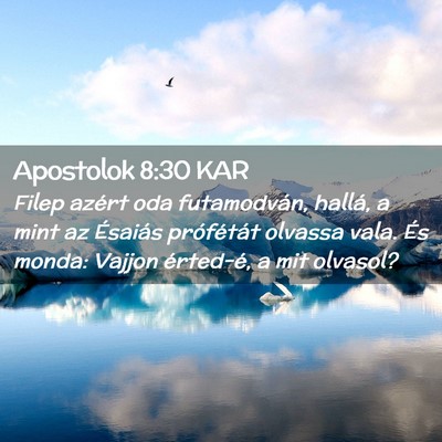 Picture 02 - Apostolok 8:30 KAR - Filep azért oda futamodván, hallá, a mint az - Bible Verse Picture