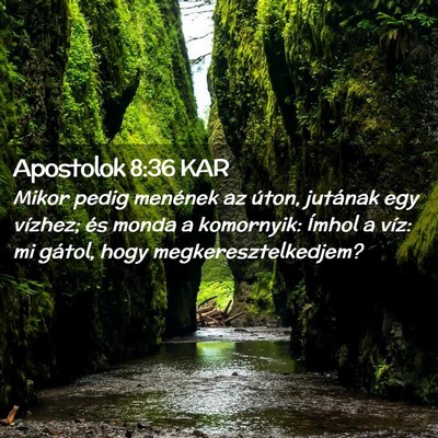 Picture 02 - Apostolok 8:36 KAR - Mikor pedig menének az úton, jutának egy - Bible Verse Picture