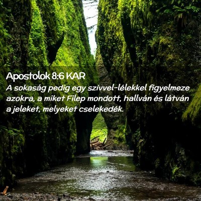Picture 02 - Apostolok 8:6 KAR - A sokaság pedig egy szívvel-lélekkel - Bible Verse Picture