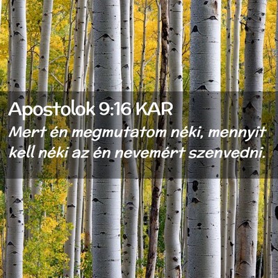 Picture 02 - Apostolok 9:16 KAR - Mert én megmutatom néki, mennyit kell néki az - Bible Verse Picture