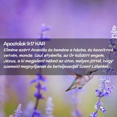 Picture 02 - Apostolok 9:17 KAR - Elméne azért Ananiás és beméne a házba, és - Bible Verse Picture