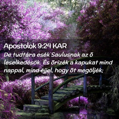 Picture 02 - Apostolok 9:24 KAR - De tudtára esék Saulusnak az õ leselkedésök. - Bible Verse Picture