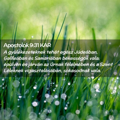 Picture 02 - Apostolok 9:31 KAR - A gyülekezeteknek tehát egész Júdeában, - Bible Verse Picture