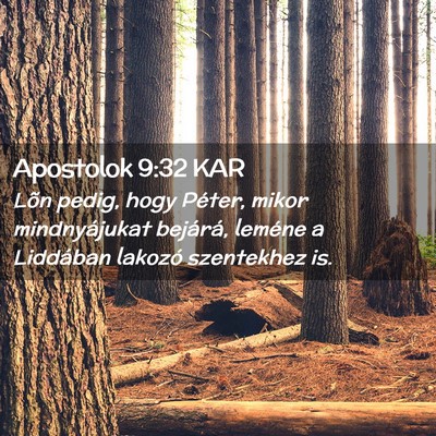Picture 02 - Apostolok 9:32 KAR - Lõn pedig, hogy Péter, mikor mindnyájukat - Bible Verse Picture