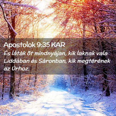 Picture 02 - Apostolok 9:35 KAR - És láták õt mindnyájan, kik laknak vala - Bible Verse Picture