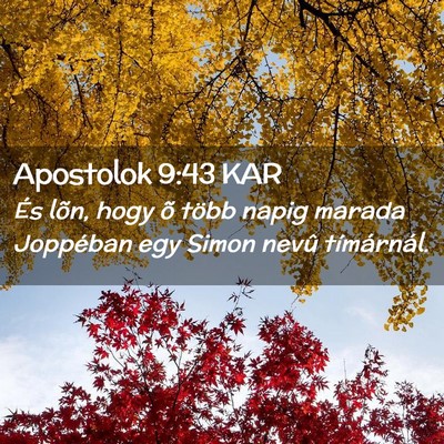 Picture 02 - Apostolok 9:43 KAR - És lõn, hogy õ több napig marada Joppéban - Bible Verse Picture