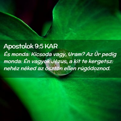 Picture 02 - Apostolok 9:5 KAR - És monda: Kicsoda vagy, Uram? Az Úr pedig - Bible Verse Picture