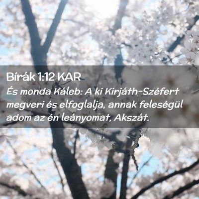 Picture 02 - Bírák 1:12 KAR - És monda Káleb: A ki Kirjáth-Széfert megveri - Bible Verse Picture