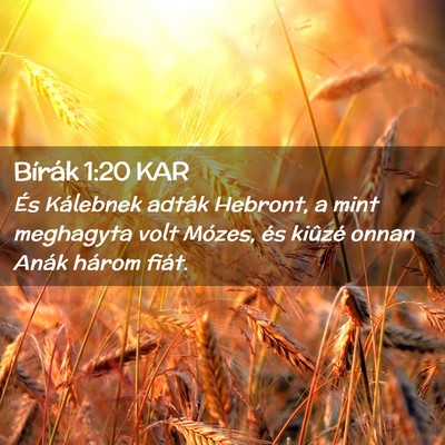 Picture 02 - Bírák 1:20 KAR - És Kálebnek adták Hebront, a mint meghagyta - Bible Verse Picture