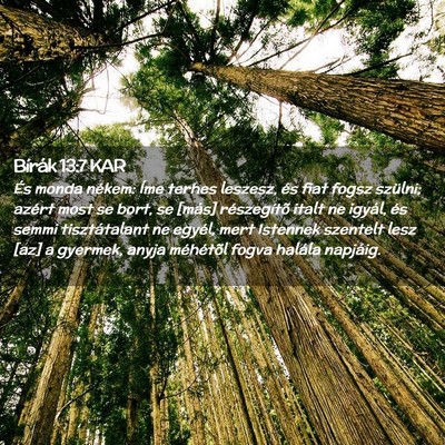 Picture 02 - Bírák 13:7 KAR - És monda nékem: Íme terhes leszesz, és fiat - Bible Verse Picture