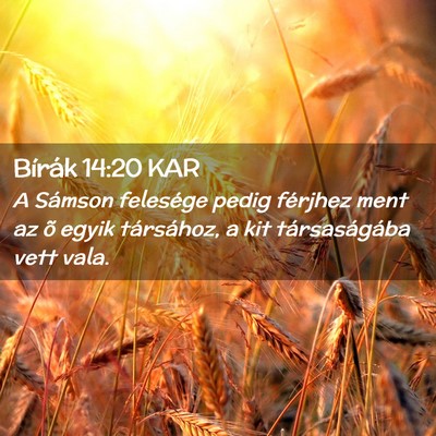 Picture 02 - Bírák 14:20 KAR - A Sámson felesége pedig férjhez ment az õ - Bible Verse Picture