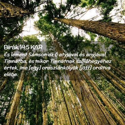 Picture 02 - Bírák 14:5 KAR - És lement Sámson az õ atyjával és anyjával - Bible Verse Picture