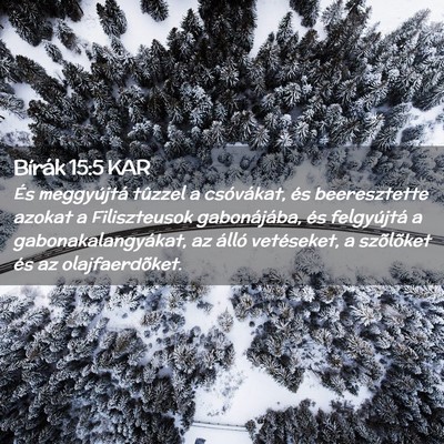 Picture 02 - Bírák 15:5 KAR - És meggyújtá tûzzel a csóvákat, és - Bible Verse Picture