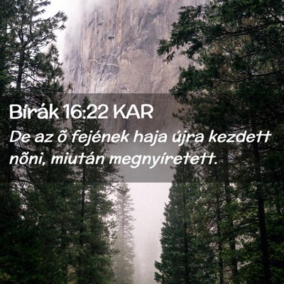 Picture 02 - Bírák 16:22 KAR - De az õ fejének haja újra kezdett nõni, - Bible Verse Picture