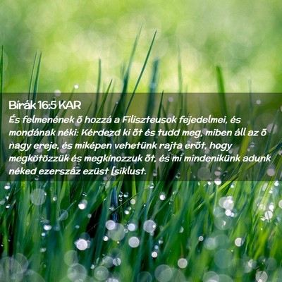 Picture 02 - Bírák 16:5 KAR - És felmenének õ hozzá a Filiszteusok - Bible Verse Picture