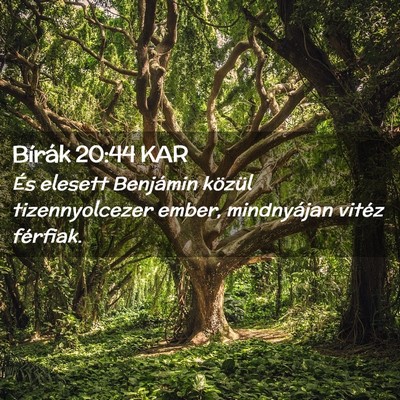 Picture 02 - Bírák 20:44 KAR - És elesett Benjámin közül tizennyolcezer - Bible Verse Picture