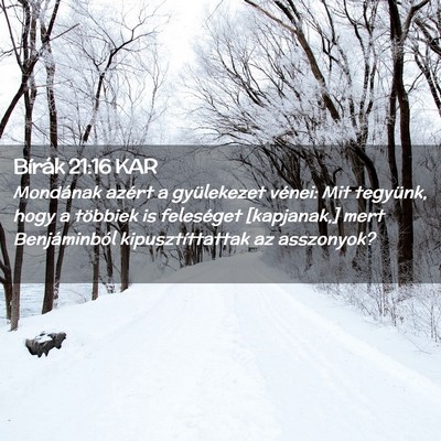 Picture 02 - Bírák 21:16 KAR - Mondának azért a gyülekezet vénei: Mit - Bible Verse Picture