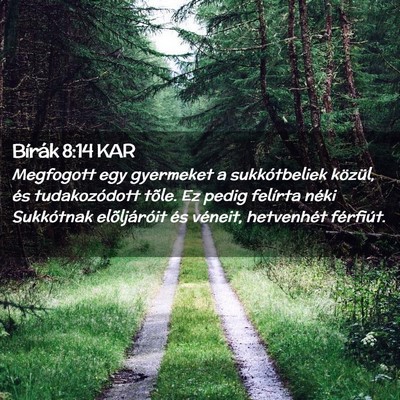 Picture 02 - Bírák 8:14 KAR - Megfogott egy gyermeket a sukkótbeliek közül, - Bible Verse Picture