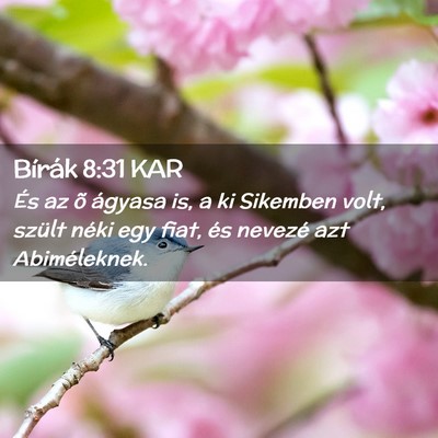 Picture 02 - Bírák 8:31 KAR - És az õ ágyasa is, a ki Sikemben volt, szült - Bible Verse Picture