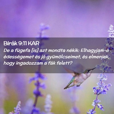 Picture 02 - Bírák 9:11 KAR - De a fügefa [is] azt mondta nékik: Elhagyjam-é - Bible Verse Picture
