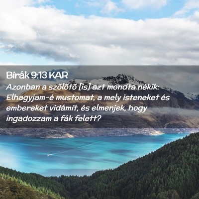 Picture 02 - Bírák 9:13 KAR - Azonban a szõlõtõ [is] azt mondta nékik: - Bible Verse Picture