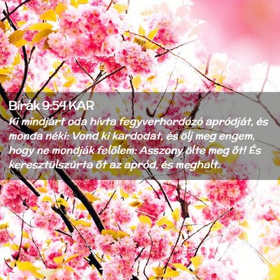 Picture 02 - Bírák 9:54 KAR - Ki mindjárt oda hívta fegyverhordozó - Bible Verse Picture
