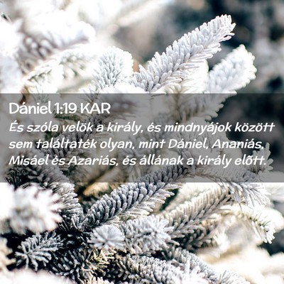 Picture 02 - Dániel 1:19 KAR - És szóla velök a király, és mindnyájok - Bible Verse Picture