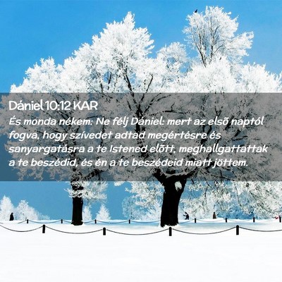Picture 02 - Dániel 10:12 KAR - És monda nékem: Ne félj Dániel: mert az elsõ - Bible Verse Picture