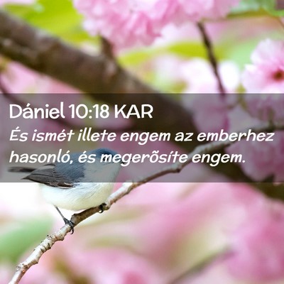 Picture 02 - Dániel 10:18 KAR - És ismét illete engem az emberhez hasonló, és - Bible Verse Picture