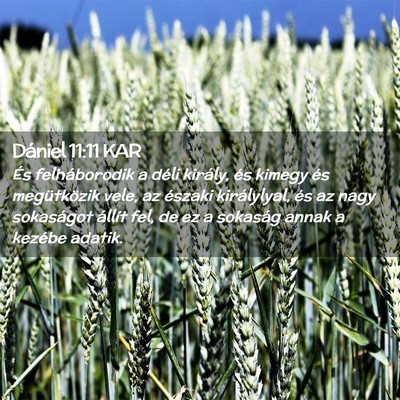 Picture 02 - Dániel 11:11 KAR - És felháborodik a déli király, és kimegy és - Bible Verse Picture