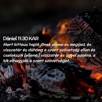 Picture 02 - Dániel 11:30 KAR - Mert kitteus hajók jõnek ellene és megijed, - Bible Verse Picture