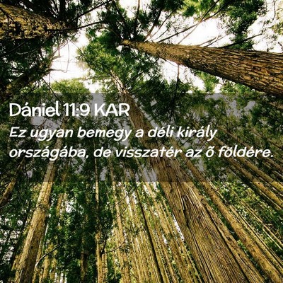 Picture 02 - Dániel 11:9 KAR - Ez ugyan bemegy a déli király országába, de - Bible Verse Picture