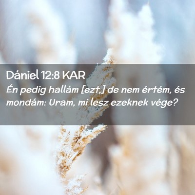 Picture 02 - Dániel 12:8 KAR - Én pedig hallám [ezt,] de nem értém, és - Bible Verse Picture